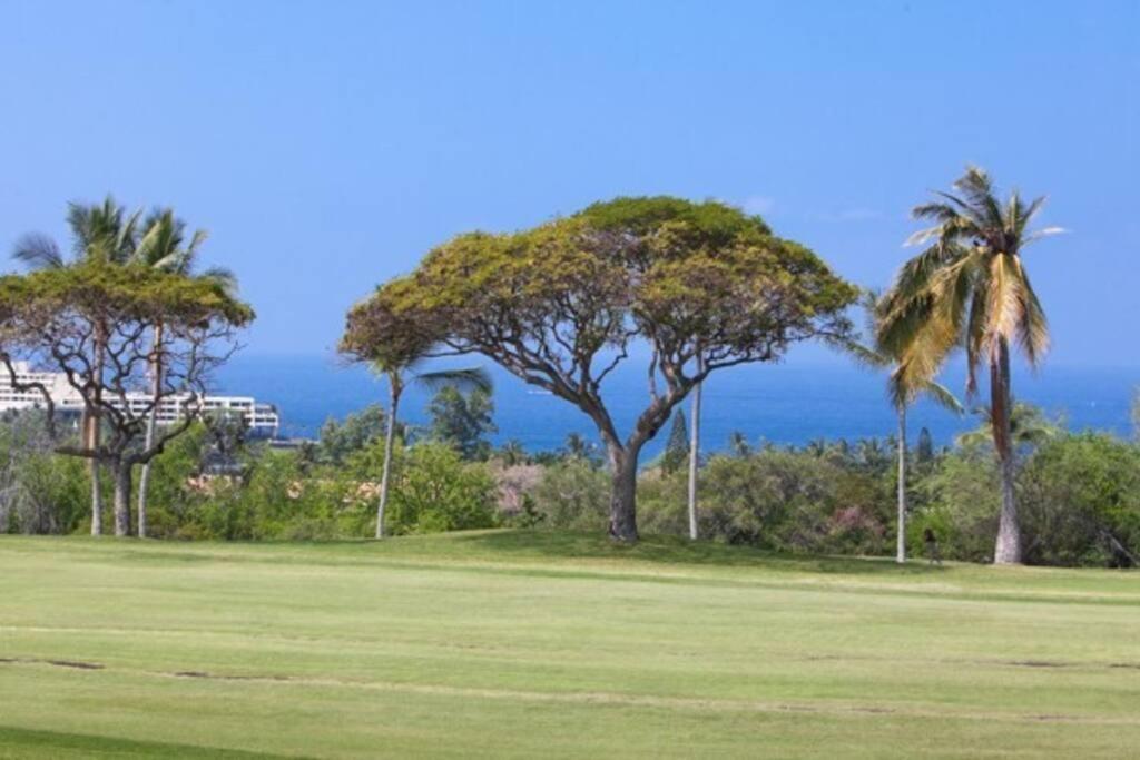 Beautiful 2/2 Condo In Kailua Kona. Ocean View! Extérieur photo